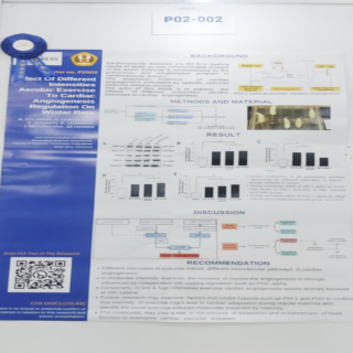 Poster anggota IAIFI Cabang Bandung (Award 2): N. Sylviana dkk