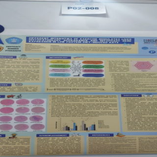 Poster anggota IAIFI Cabang Bandung (Award 3): Julia Windi dkk