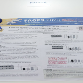 Poster anggota IAIFI Cabang Bandung (Award 4): Hanna Goenawan dkk