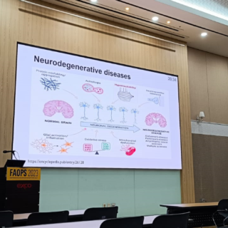 Presentasi dr. Nurhadi Ibrahim PhD, salah satu pembicara pada Simposium Nasional (S16).